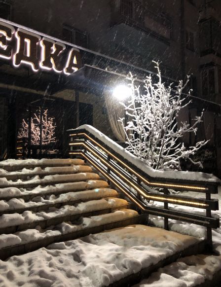 Фотография номера гостиницы Шведка