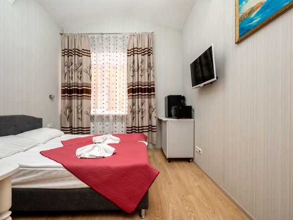 Фотография номера гостиницы Невский  111/3