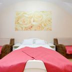 Двухместный (Комфорт двухместный с большой кроватью), Отель Невский 111