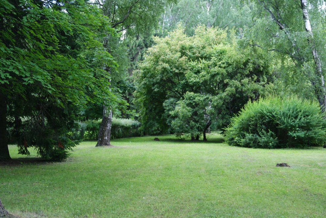 Сад, Отель Куркино