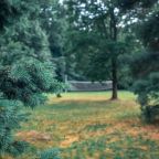 Детская площадка, Отель Куркино