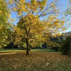 Сад, Отель Куркино