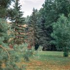 Сад, Отель Куркино