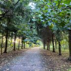 Пешие прогулки, Отель Куркино