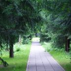 Территория д/о Куркино