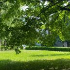 Территория д/о Куркино