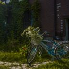 Сад, Гостевой дом DREAM VILLAGE