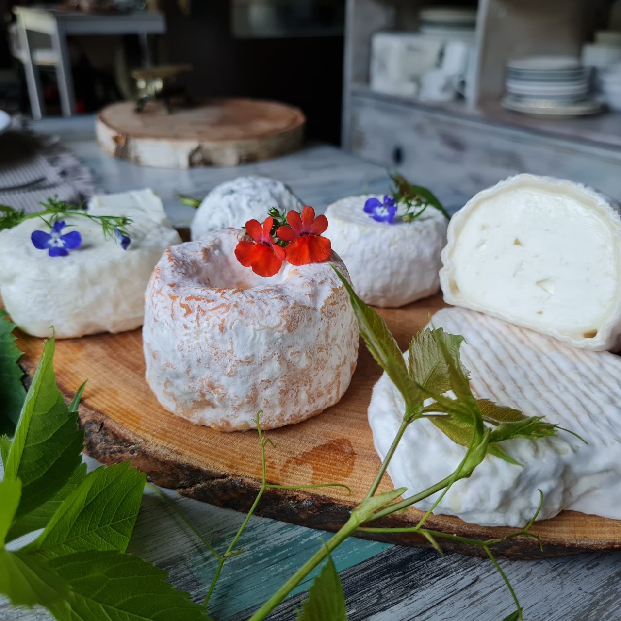 Ресторан Dream Village, Гостевой дом DREAM VILLAGE