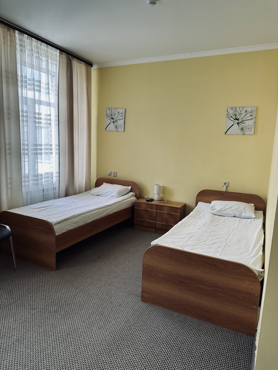 Двухместный (Комфорт с 2 отдельными кроватями) гостиницы 104 комнаты, Воронеж