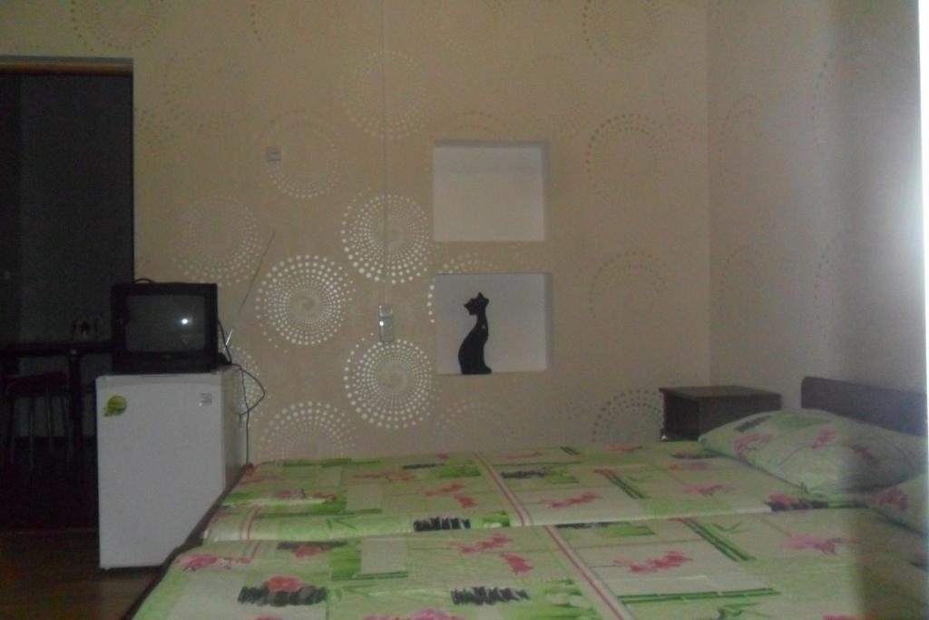 Двухместный (Двухместный номер с 2 отдельными кроватями и собственной ванной комнатой) гостевого дома Астра, Гагра