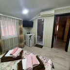 Двухместный (Без балкона), Гостевой дом Ruzanna Inn