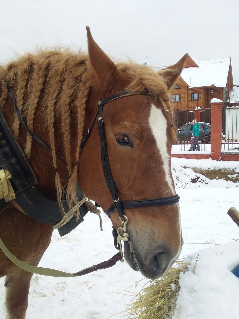 Загородный отель Малиновая Слобода 3*, Васильково, Нижегородская область,  цены от 7500 руб. — забронировать турбазу с завтраком и бассейном на  101Hotels.com