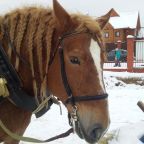 Верховая езда, Загородный отель Малиновая Слобода