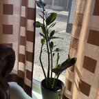 Дом (С бассейном ЗОЛОТОЙ  на 6 человек), Коттеджный комплекс Кувшиново Сити