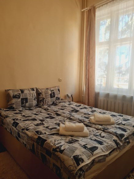 Фотография номера гостиницы Родина