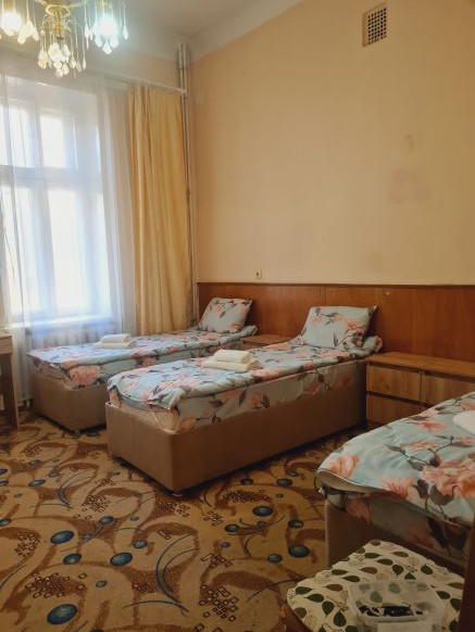 Фотография номера гостиницы Родина