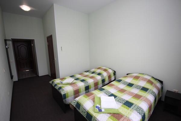 Двухместный (Стандартный с 2 отдельными кроватями) гостиницы Новая Ельня, Нижние Серги
