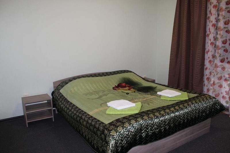 Двухместный (Стандартный с 1 кроватью) гостиницы Новая Ельня, Нижние Серги