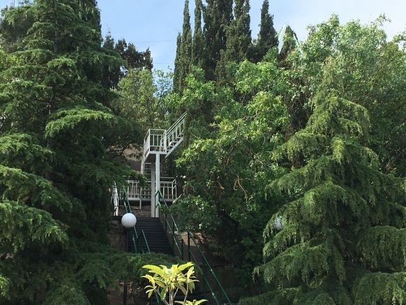 Фотография номера пансионата Алые паруса