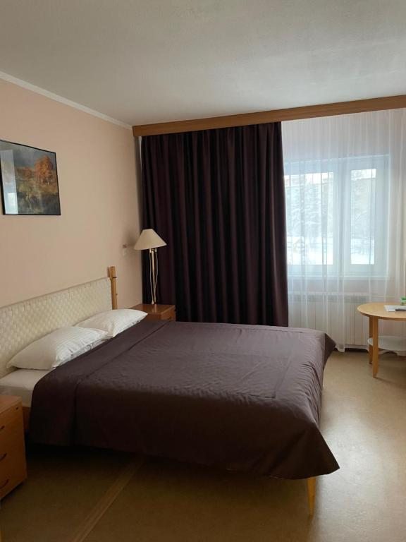 Двухместный (Двухместный номер с 1 кроватью) отеля Светогорск
