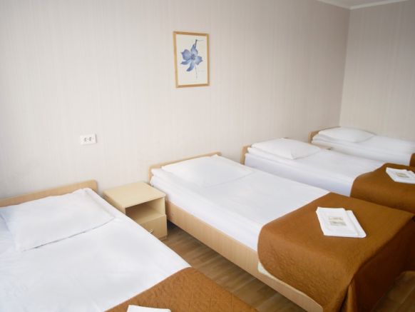 Фотография номера гостиницы Спорт