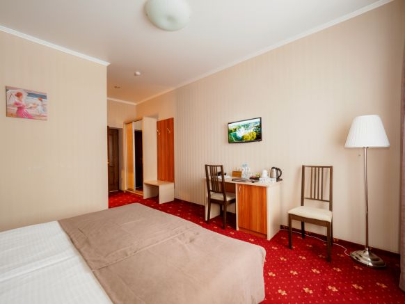 Фотография номера гостиницы Премьер