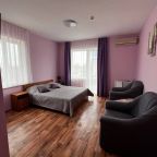 Полулюкс (Двух-местный номер полулюкс категории А (2-А)), Отель Феникс