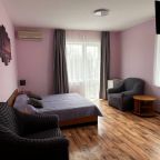 Полулюкс (Двух-местный номер полулюкс категории А (2-А)), Отель Феникс