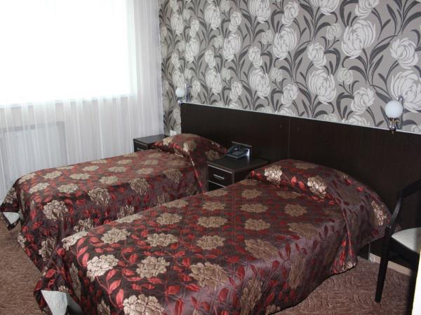 Двухместный (Twin) гостиницы Пик, Рязань