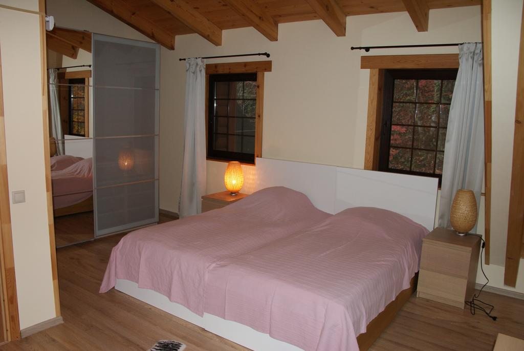 Двухместный (Двухместный номер с 2 отдельными кроватями и видом на горы) отеля Золотой Каштан Лодж, Чвижепсе