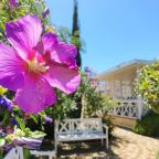 Беседки. территория