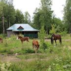 Четырехместный (Классический четырёхместный номер), Гостевой дом Деревня Ванино