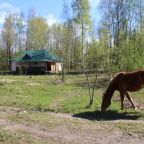 Четырехместный (Классический четырёхместный номер), Гостевой дом Деревня Ванино