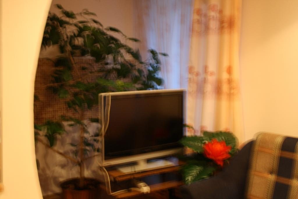 Двухместный (Двухместный номер с 1 кроватью) мини-гостиницы Селенга, Селенгинск