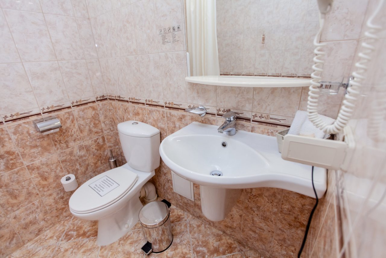 De Luxe (1-комнатный), Парк-Отель Березка