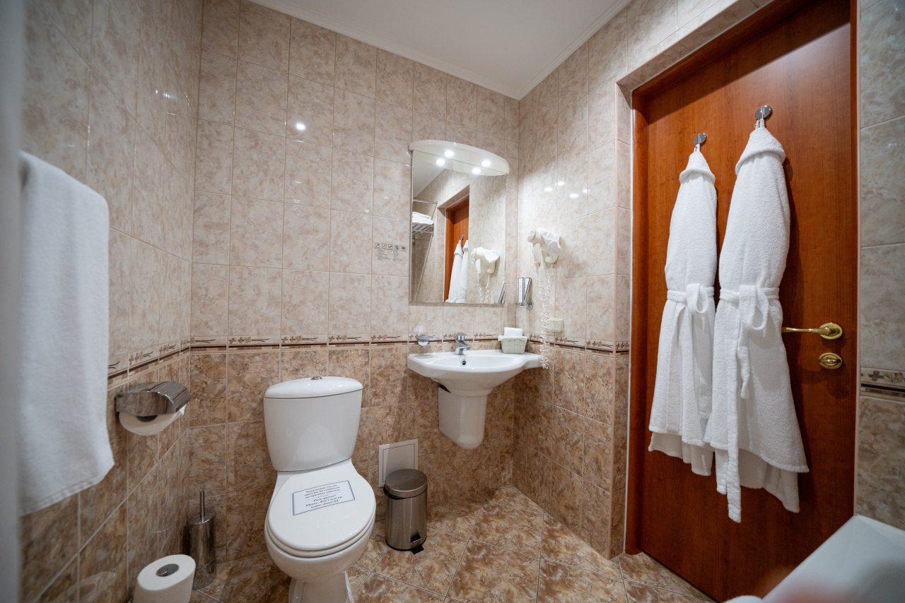 De Luxe (Twin 2-местный), Парк-Отель Березка