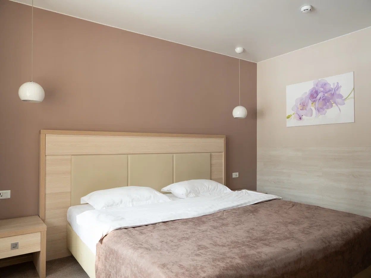 Делюкс (Стандарт двухместный King Size), АВРОРА ПАРК ОТЕЛЬ