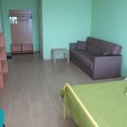 Семейный номер с двуспальной кроватью и диваном.