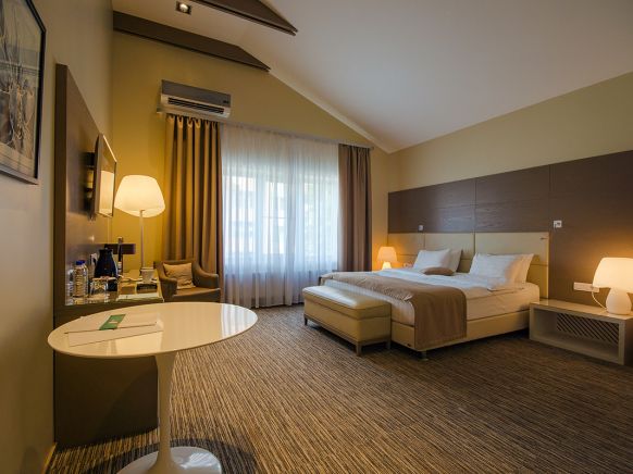 Фотография номера гостиницы Парк Отель Сова