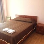 Двухместный (Бюджетный двухместный номер с 2 отдельными кроватями), Гостевой дом София на Совхозной