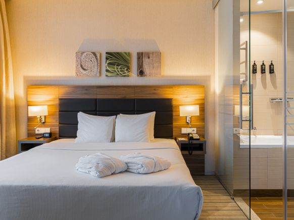 Фотография номера гостиницы Four Elements Kirov