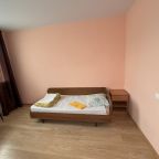 Двухместный (Двухместный эконом (номер 406)), Отель Металлург