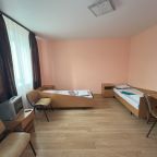 Двухместный (Двухместный эконом (номер 420)), Отель Металлург