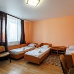 Двухместный (Трехместный эконом (номер 420)), Отель Металлург
