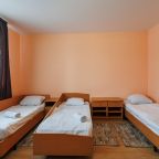Двухместный (Трехместный эконом (номер 420)), Отель Металлург