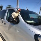 Парковка, Гостевой дом Феличе