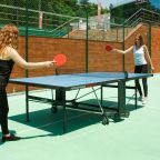 Настольный теннис