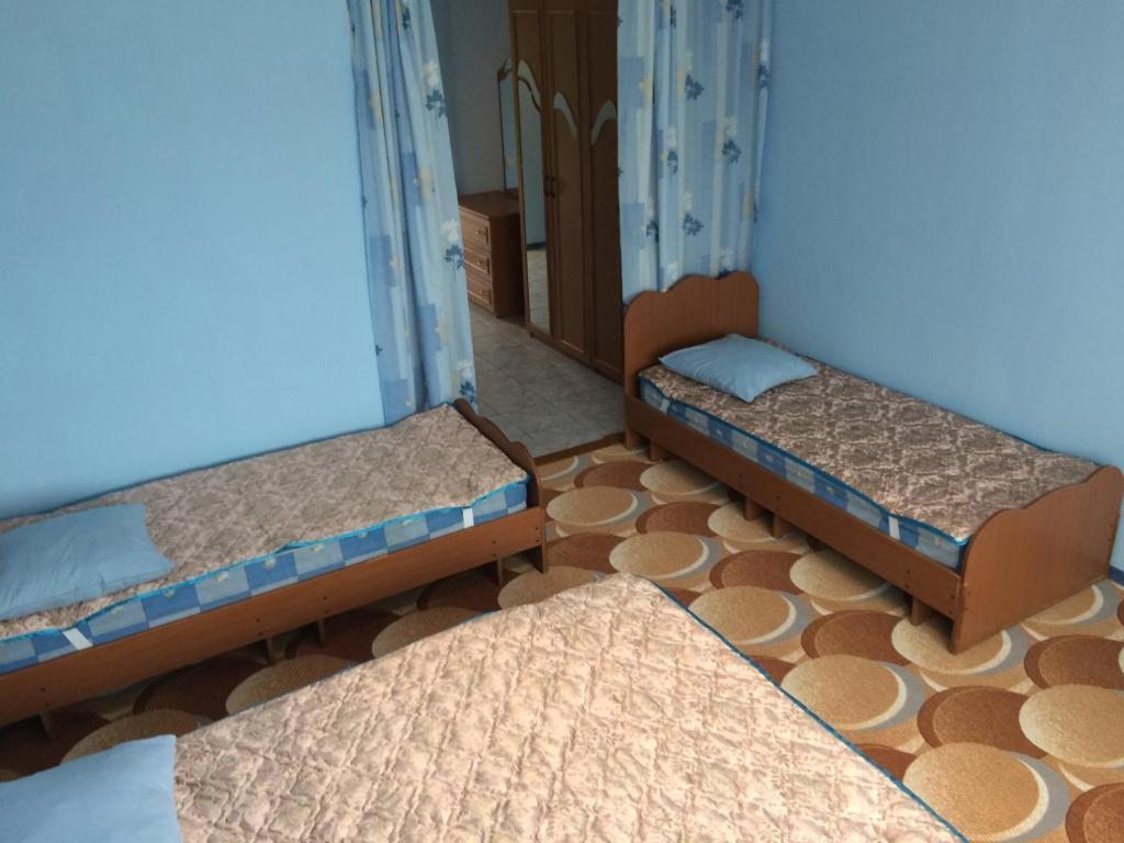 Двухместный (Бюджетный двухместный номер с 2 отдельными кроватями) отеля Тараз, Вишнёвка