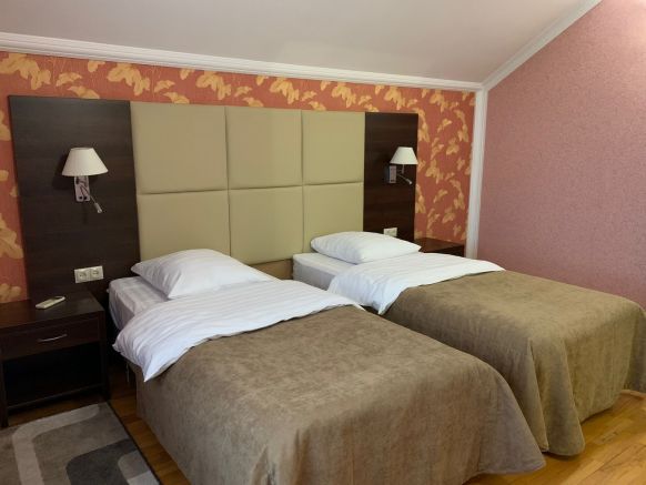 Фотография номера гостиницы Снежная королева