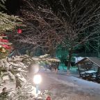 Своя ухоженная территория, База отдыха Тавуш